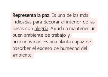 Representa la paz Es una de las más indicadas para decorar el interior de las casas con alegría Ayuda a mantener un buen ambiente de trabajo y productividad Es una planta capaz de absorber el exceso de humedad del ambiente