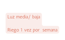 Luz media baja Riego 1 vez por semana