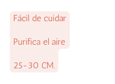 Fácil de cuidar Purifica el aire 25 30 CM