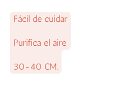 Fácil de cuidar Purifica el aire 30 40 CM