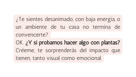 Te sientes desanimado con baja energía o un ambiente de tu casa no termina de convencerte OK Y si probamos hacer algo con plantas Créeme te sorprenderás del impacto que tienen tanto visual como emocional