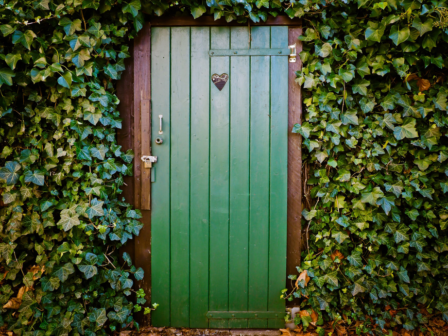 Green Wooden Door