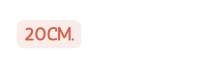 20cm