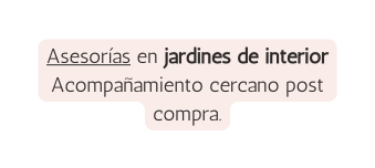 Asesorías en jardines de interior Acompañamiento cercano post compra
