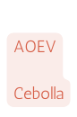 AOEV Cebolla