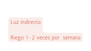 Luz indirecta Riego 1 2 veces por semana