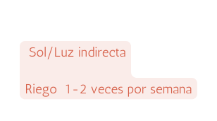 Sol Luz indirecta Riego 1 2 veces por semana