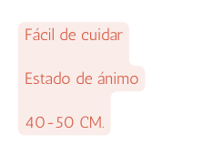Fácil de cuidar Estado de ánimo 40 50 CM