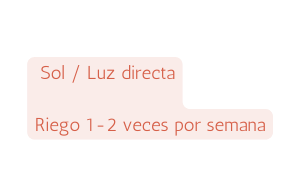 Sol Luz directa Riego 1 2 veces por semana